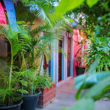 Hotel Las Golondrinas Oaxaca المظهر الخارجي الصورة