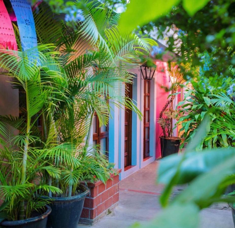 Hotel Las Golondrinas Oaxaca المظهر الخارجي الصورة