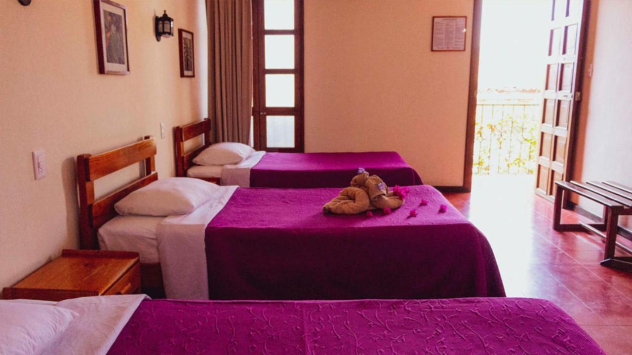 Hotel Las Golondrinas Oaxaca المظهر الخارجي الصورة