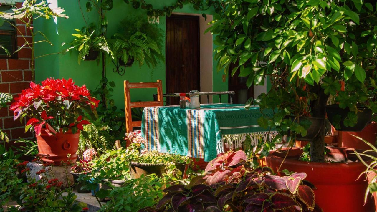 Hotel Las Golondrinas Oaxaca المظهر الخارجي الصورة