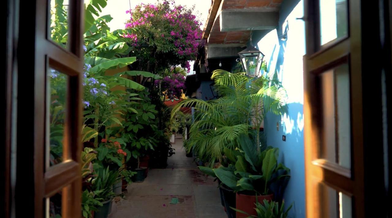 Hotel Las Golondrinas Oaxaca المظهر الخارجي الصورة