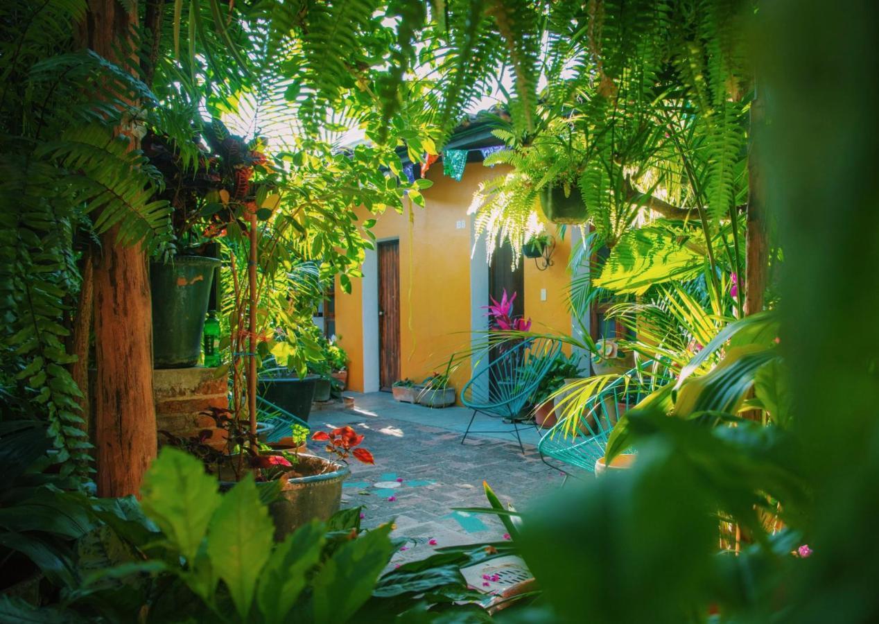 Hotel Las Golondrinas Oaxaca المظهر الخارجي الصورة