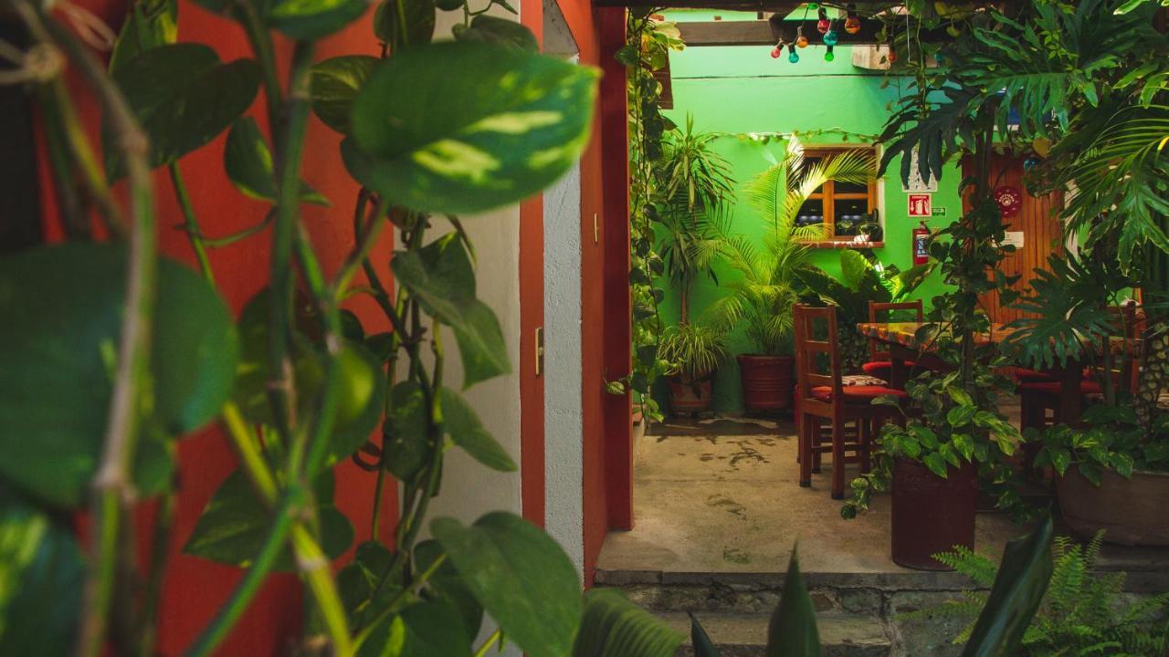 Hotel Las Golondrinas Oaxaca المظهر الخارجي الصورة