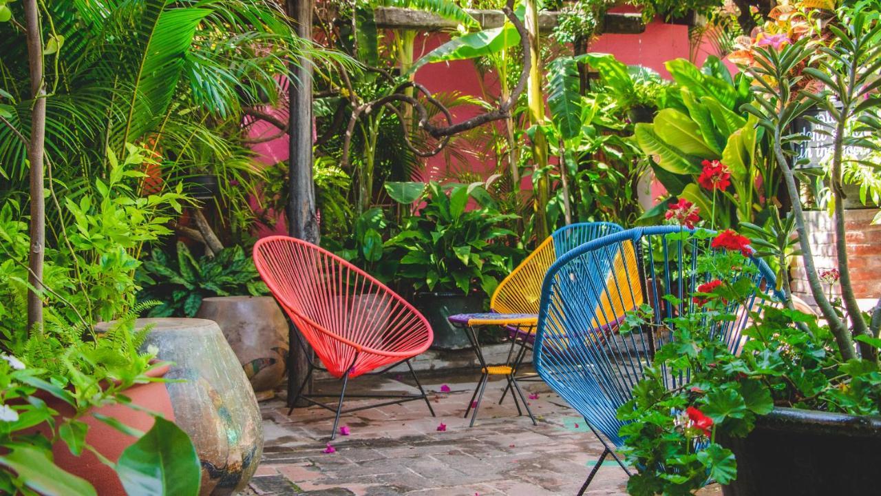 Hotel Las Golondrinas Oaxaca المظهر الخارجي الصورة