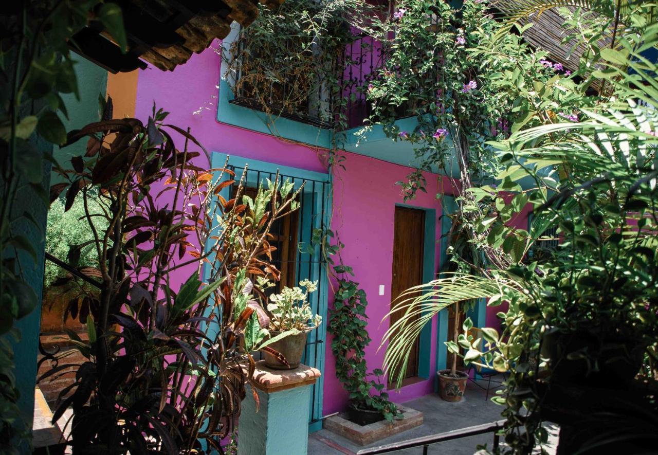 Hotel Las Golondrinas Oaxaca المظهر الخارجي الصورة
