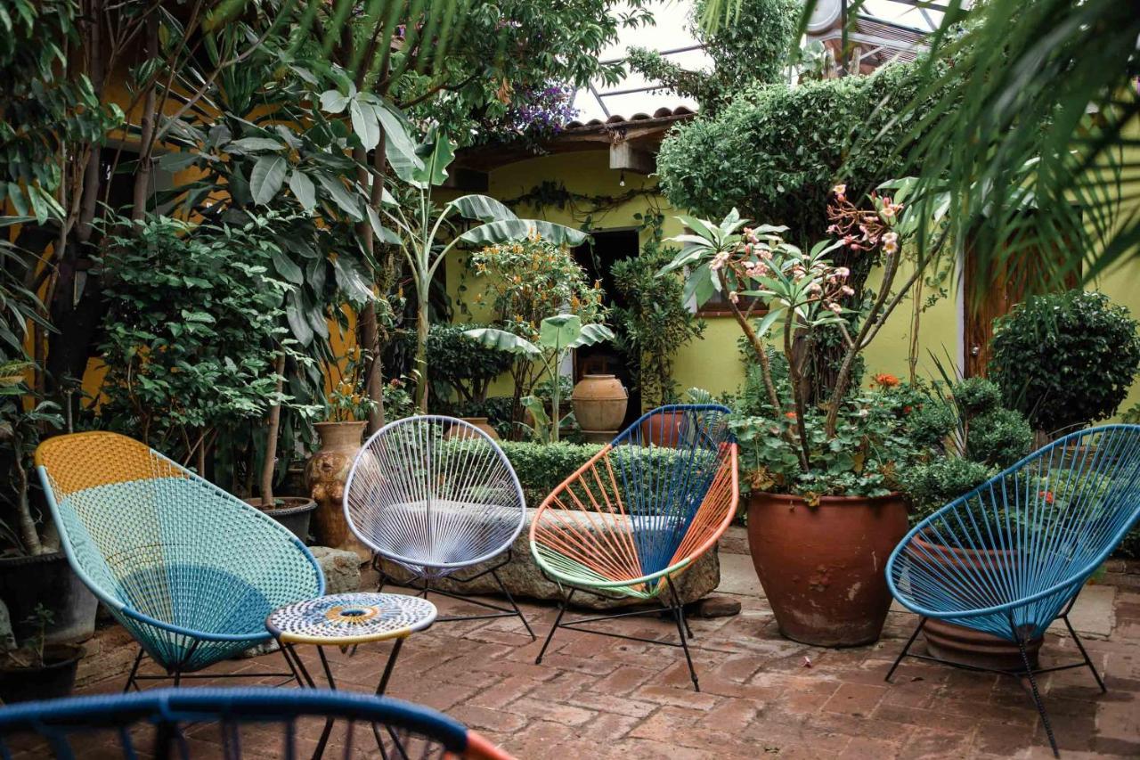 Hotel Las Golondrinas Oaxaca المظهر الخارجي الصورة