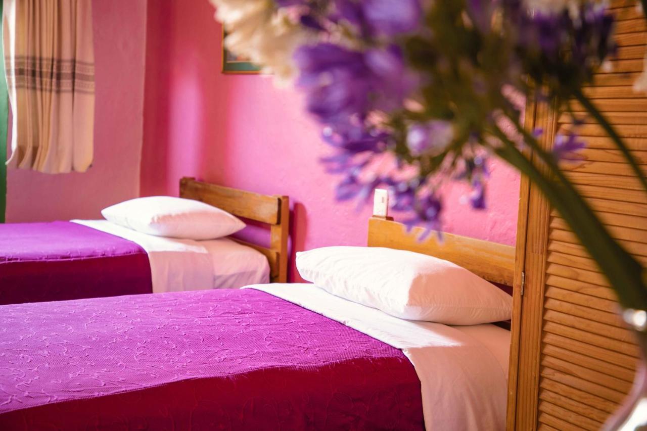Hotel Las Golondrinas Oaxaca المظهر الخارجي الصورة