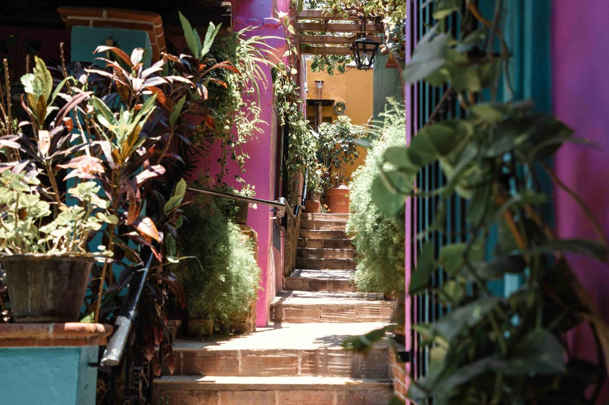 Hotel Las Golondrinas Oaxaca المظهر الخارجي الصورة