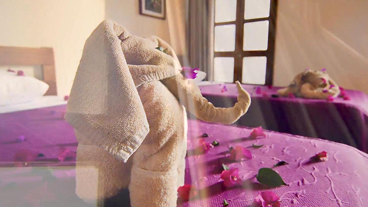 Hotel Las Golondrinas Oaxaca المظهر الخارجي الصورة