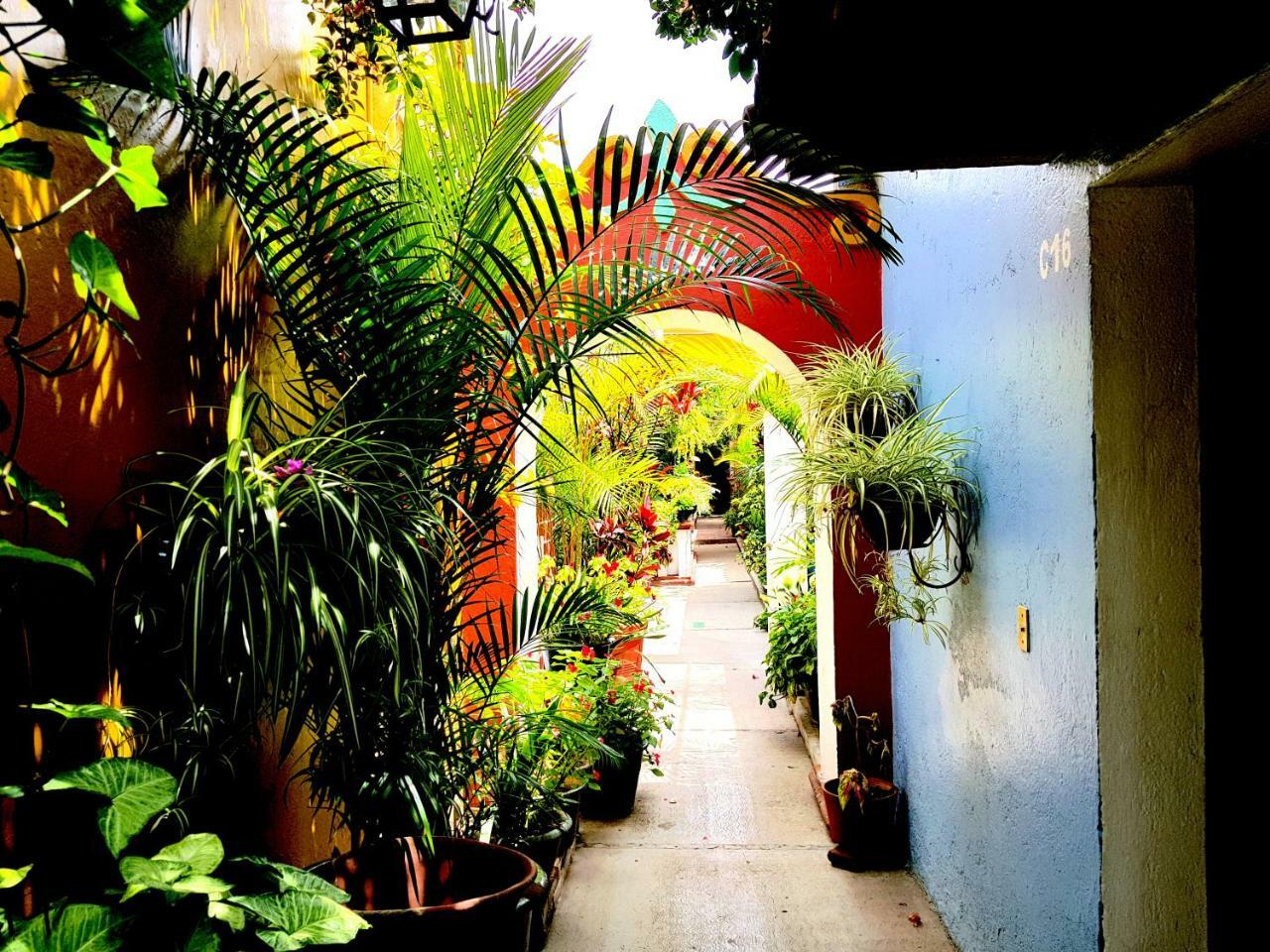 Hotel Las Golondrinas Oaxaca المظهر الخارجي الصورة